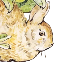 Peter Rabbit Puzzle